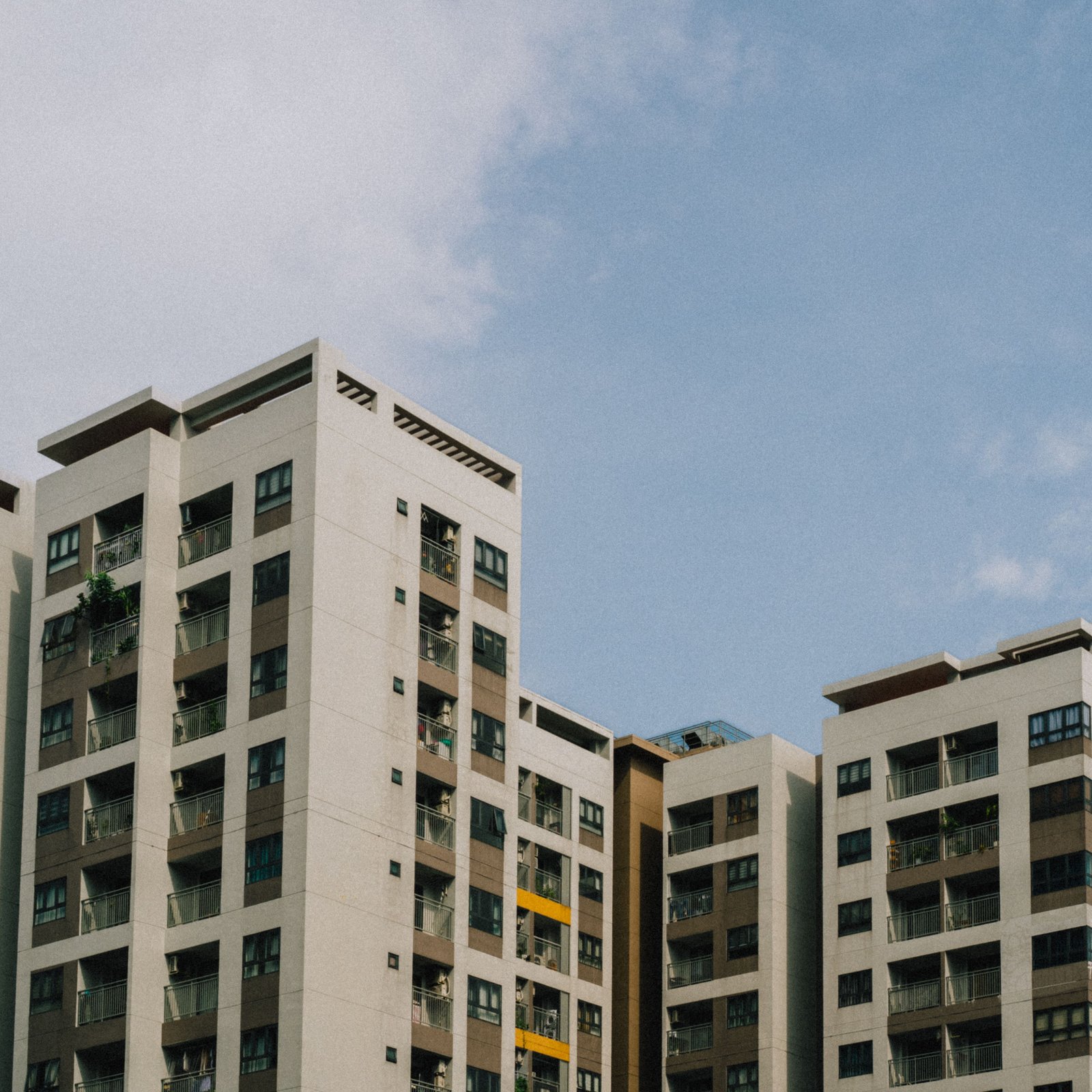 pexels-tonderue-34889739